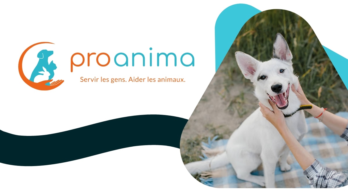 Proanima: Aiding Citizens. Helping Animals.