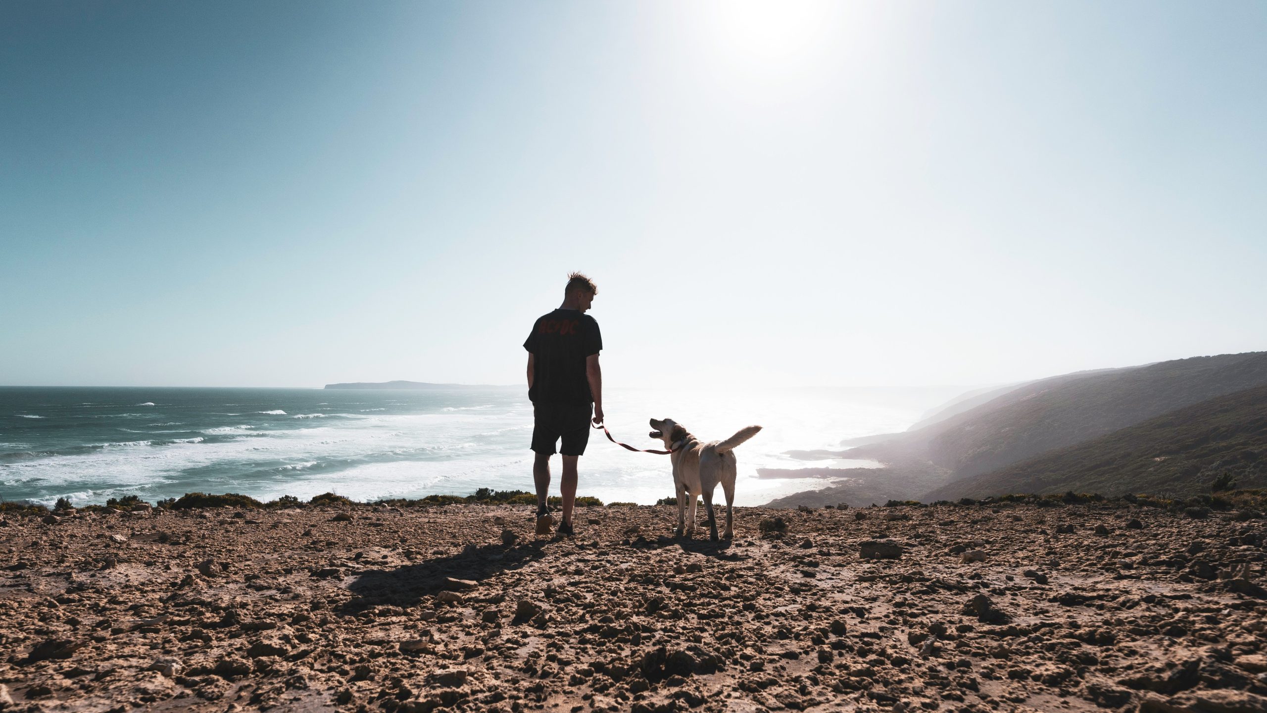 un homme et son chien face à la mer